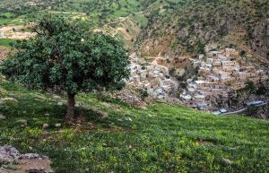 روستای پالنگان